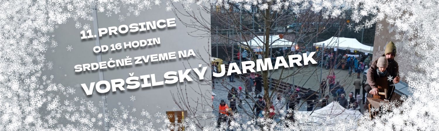 Zákldaní škola sv. Voršily v Olomouci